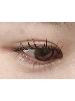 初めての方にオススメ