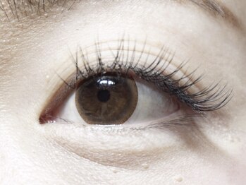 ビューティーデザインサロンプレズィール(BeuatyDesign Salon de Plaisir)/お試しに是非!ナチュラル120本