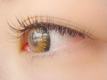 プリュネル(Prunelle)/フラットラッシュ