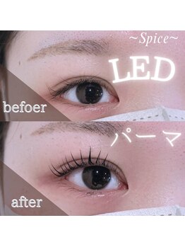 スパイス なんば店(Spice)/LEDパーマ