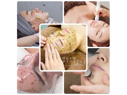 アイスタス(aestas)の写真