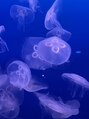 ヘッドミント 浦和店&nbsp;みずくらげ好きですふんわりとした動きに癒されます＊