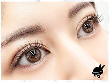 バニーラッシュ(Bunny Lash)/【フラットラッシュ】