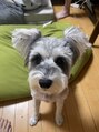 エクルビューティーツー(ECRU Beauty 2) 私の愛犬「まめ」と遊ぶのが癒し