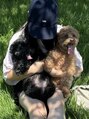 ウシワカマル エムティードット 富士宮店(USHIWAKAMARU MT.) 愛犬2匹います