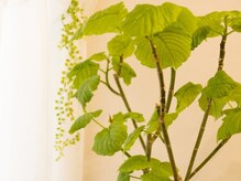 ソルーブ 広尾店/完全貸切プライベートサロン