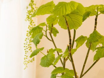 ソルーブ 広尾店/完全貸切プライベートサロン