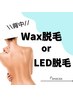 【女性限定】ツルツルお肌に♪背中全体脱毛　10,000円( Wax脱毛 or LED脱毛 )