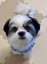 サロン ド ソワ(Salon de Soie) OREO