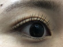 ジョリー(Jolie)/