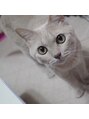 シエル 三軒茶屋(Ciel)&nbsp;実家で飼ってるネコちゃん=^. .^=