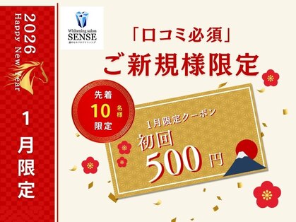 センス(SENSE)の写真