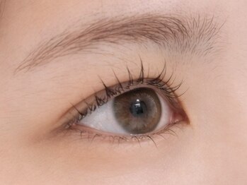 アンシル(ANCIL)/まつげパーマ 60分 ¥3780