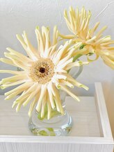 リアン ラッシュリフト(Lien LASHLIFT)/花びらの形が素敵なガーベラ♪