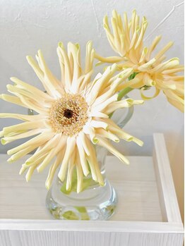 リアン ラッシュリフト(Lien LASHLIFT)/花びらの形が素敵なガーベラ♪