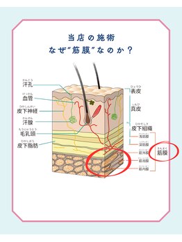 コクア整体院 伊勢崎(KOKUA整体院)/筋膜とは