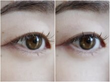 ハスコ(husco)/スタイリングの有無（120本）