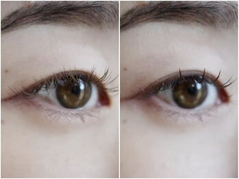 ハスコ(husco)/スタイリングの有無（120本）