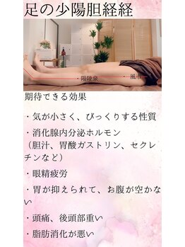 ジュエイル(JUEIRU)/胆嚢の経絡◎期待できる効果