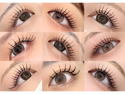 ハリス(HARIS)の写真