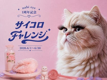 ナビアイ(nabi eye)の写真