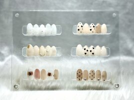 トレンド定額