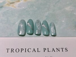 選べる定額デザイン