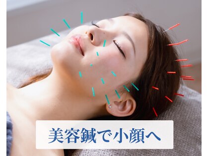 ラ カルナベル(La Carnabel)の写真