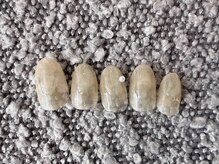 エクリュ(ecru)/南国市　定額　アート　