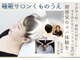 くものうえ ラウンジ 中津の写真