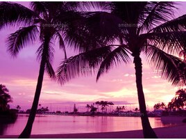 【持ち込み画像をご希望の方】