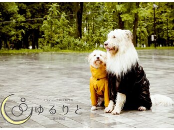 ゆるりと 錦糸町店/[ドライヘッドスパ/マッサージ]