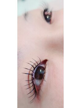 コア(Koa)/エクパーマ100本