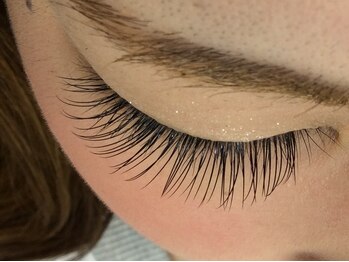 シュシュ(chou chou)/セーブル120本(chouchou吉祥寺)