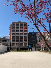 アリビオ(ALIVIO)/ALIVIOは203号室です