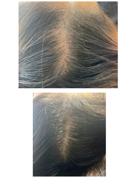 パールブルー(All Perl blue)/***キュラハ***