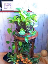 タマエステティックサロン/入口☆