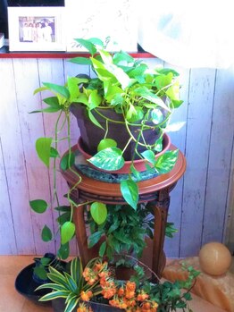 タマエステティックサロン/入口☆