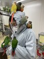 アイバランス(i-BALANCE) お休みの日は大体鳥さんの魅力を再発見しに行ってます。