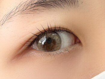 アイラッシュアイブロウ バイ ラブランシュ 大宮(eyelash eyebrow by La Blanche)/まつ毛パーマ/アイブロウ/眉毛