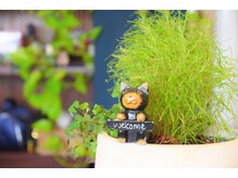 ケアリストステージ/店内雰囲気