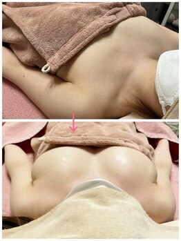 ザ ボディメイク(THE BODY MAKE)/プレミアムバストアップ