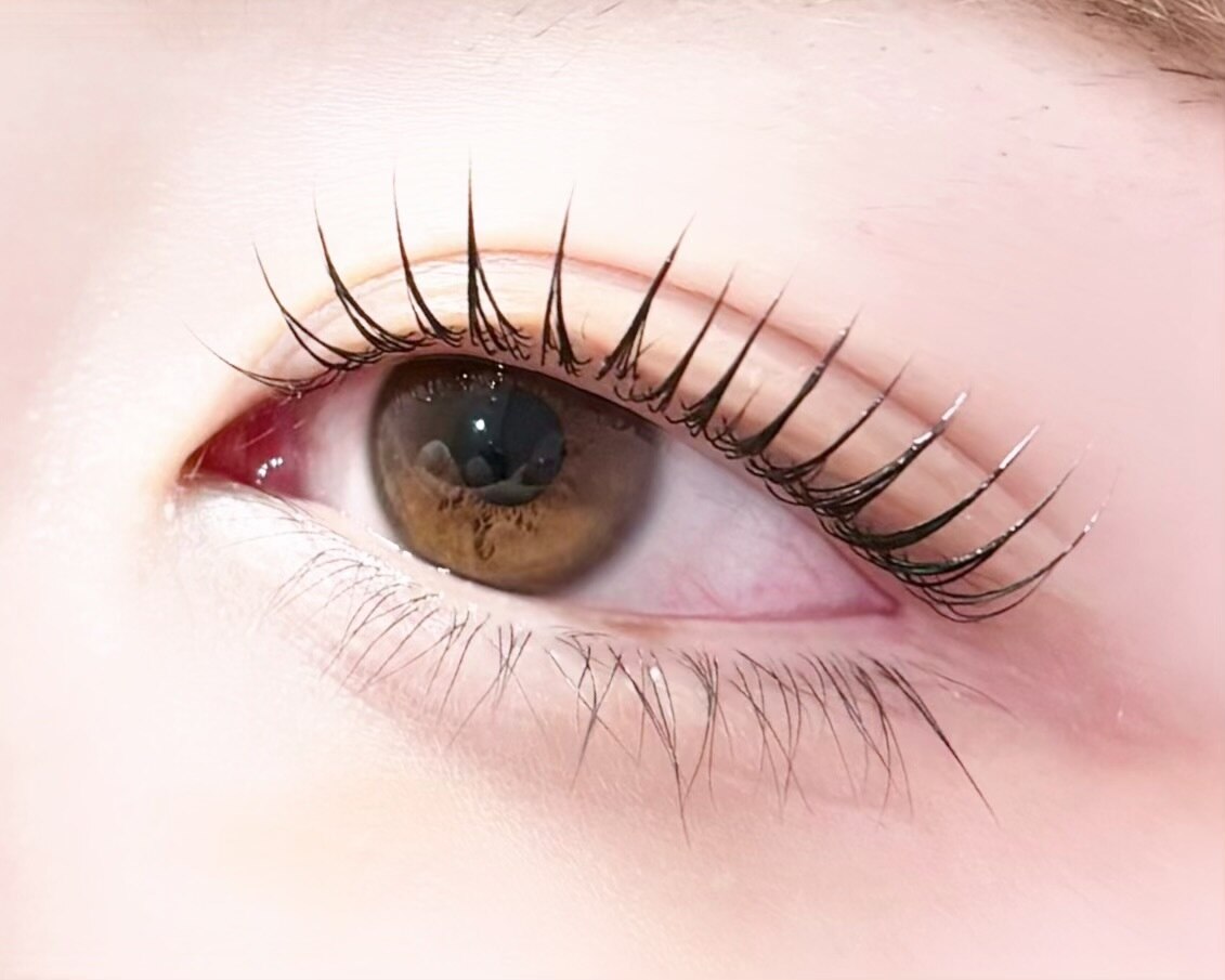 パリジェンヌラッシュリフト《3/3から移転》詳細はブログにて