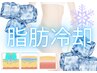 ☆脂肪冷却☆同時1～2カップ☆燃焼～分解～冷却～流しを一度に♪