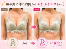 ハリスタ 三宮院(HARISTA)