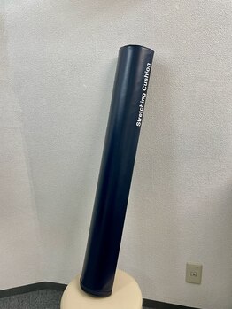 ワセダ接骨鍼灸マッサージ院/姿勢ケア器具