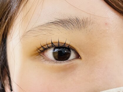 チャミュエルの写真