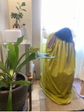 ボディ トーク ヒール コティ(Body talk Heal koti)/よもぎ蒸し