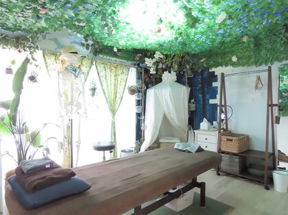 ミモザ(mimosa)の写真