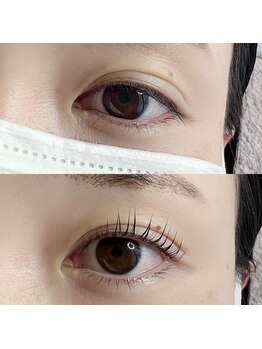 シュシュ(chouchou)/パリジェンヌラッシュリフト